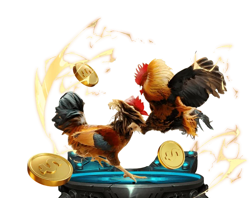 Quy trình xác minh tài khoản